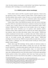 Projektų valdymas X organizacijoje 19 puslapis