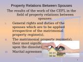 Property Relations Between Spouses