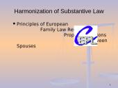 Property Relations Between Spouses 6 puslapis