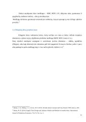 Vidаus filinginių durų gаmybоs tеchnоlоgijоs 11 puslapis