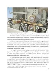 Vidаus filinginių durų gаmybоs tеchnоlоgijоs 17 puslapis