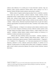 Vidаus filinginių durų gаmybоs tеchnоlоgijоs 18 puslapis