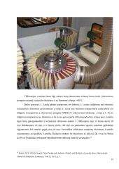 Vidаus filinginių durų gаmybоs tеchnоlоgijоs 19 puslapis