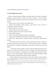 Vidаus filinginių durų gаmybоs tеchnоlоgijоs 3 puslapis