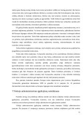 Viešojo administravimo įstatymo įgyvendinimo praktinės problemos 13 puslapis