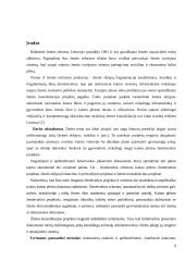 Žemės konsolidacijos projektai 2 puslapis