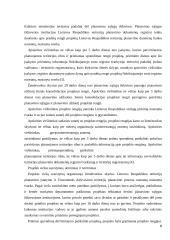 Žemės konsolidacijos projektai 8 puslapis