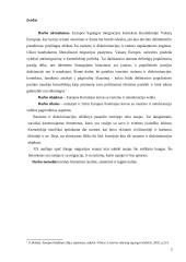 Europos Komisijos kovai su rasizmu ir netolerancija veikla 2 puslapis