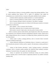 Ryšių su visuomene raida 20 amžiuje 2 puslapis