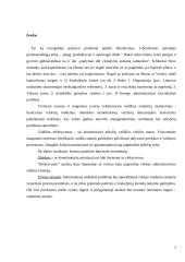 Demokratinų principų derinimas su efektyvumu 2 puslapis