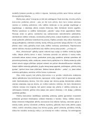 Demokratinų principų derinimas su efektyvumu 12 puslapis