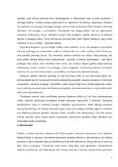 Demokratinų principų derinimas su efektyvumu 5 puslapis