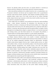 Demokratinų principų derinimas su efektyvumu 6 puslapis
