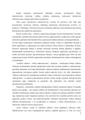 Demokratinų principų derinimas su efektyvumu 8 puslapis