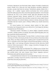 Referendumas bei jo rūšys 8 puslapis