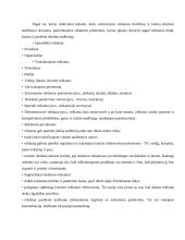 Reklamos priemonių veiksmingumas kultūros įstaigoje 13 puslapis