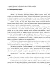 Reklamos priemonių veiksmingumas kultūros vartotojų požiūrių, kultūros priemonių  poveikis pardavimams skatinti 4 puslapis