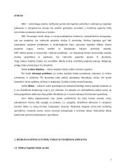 Rizikos kapitalo fondų veiklos teoriniai aspektai 2 puslapis