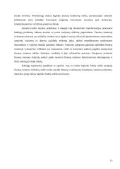 Rizikos kapitalo fondų veiklos teoriniai aspektai 15 puslapis