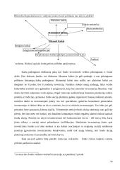 Rizikos kapitalo fondų veiklos teoriniai aspektai 20 puslapis