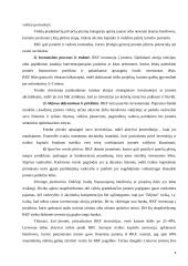 Rizikos kapitalo fondų veiklos teoriniai aspektai 4 puslapis