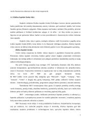 Rizikos kapitalo fondų veiklos teoriniai aspektai 5 puslapis