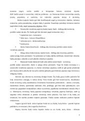 Rizikos kapitalo fondų veiklos teoriniai aspektai 6 puslapis