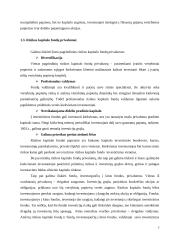 Rizikos kapitalo fondų veiklos teoriniai aspektai 7 puslapis