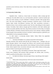 Rizikos kapitalo fondų veiklos teoriniai aspektai 8 puslapis