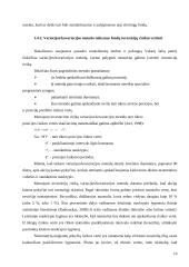 Rizikos kapitalo fondų veiklos teoriniai aspektai 10 puslapis