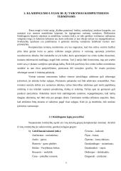 Kompiuterijos terminų lietuvinimo istorija ir problemos  6 puslapis