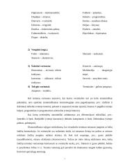 Kompiuterijos terminų lietuvinimo istorija ir problemos  7 puslapis