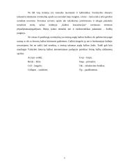 Kompiuterijos terminų lietuvinimo istorija ir problemos  8 puslapis