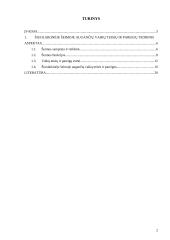 Šiuolaikinėje šeimoje augančIų vaikų teisės ir pareigos 2 puslapis