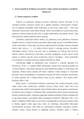 Šiuolaikinėje šeimoje augančIų vaikų teisės ir pareigos 6 puslapis