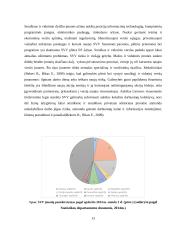 Smulkaus ir vidutinio verslo įtaka Lietuvos ekonomikos augimui 13 puslapis