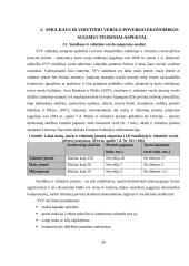 Smulkaus ir vidutinio verslo įtaka Lietuvos ekonomikos augimui 20 puslapis