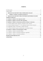 Smulkaus ir vidutinio verslo įtaka Lietuvos ekonomikos augimui 5 puslapis