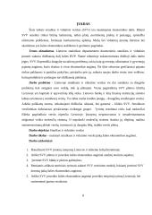 Smulkaus ir vidutinio verslo įtaka Lietuvos ekonomikos augimui 8 puslapis