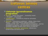 „Netradicinės šeimos” ir pagalba joms 11 puslapis