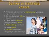 „Netradicinės šeimos” ir pagalba joms 3 puslapis