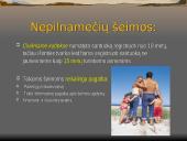 „Netradicinės šeimos” ir pagalba joms 4 puslapis