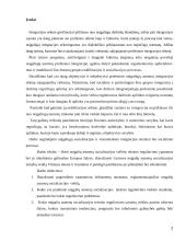 Neįgaliųjų socialinė integracija Vilniaus mieste 2 puslapis