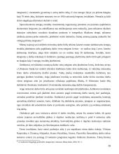 Neįgaliųjų socialinė integracija Vilniaus mieste 15 puslapis