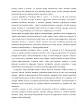 Neįgaliųjų socialinės įtraukties formos Jonavoje 11 puslapis