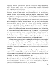 Neįgaliųjų socialinės įtraukties formos Jonavoje 15 puslapis