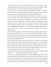 Neįgaliųjų socialinės įtraukties formos Jonavoje 17 puslapis