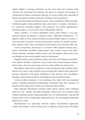 Feminizmas socialiniame darbe 13 puslapis