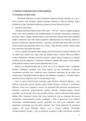 Feminizmas socialiniame darbe 3 puslapis