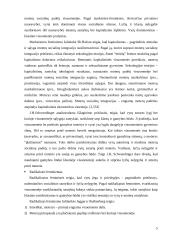 Feminizmas socialiniame darbe 5 puslapis